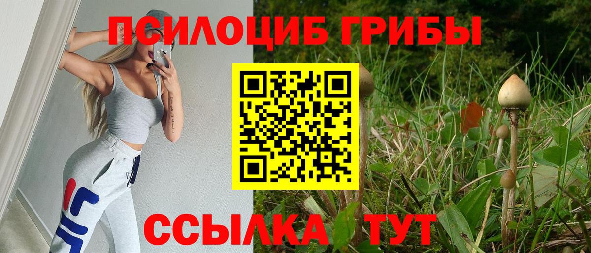 Галлюциногенные грибы мухоморы  Вход с VPN  Октябрьский 
