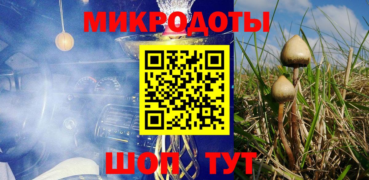 Галлюциногенные грибы мухоморы Октябрьский